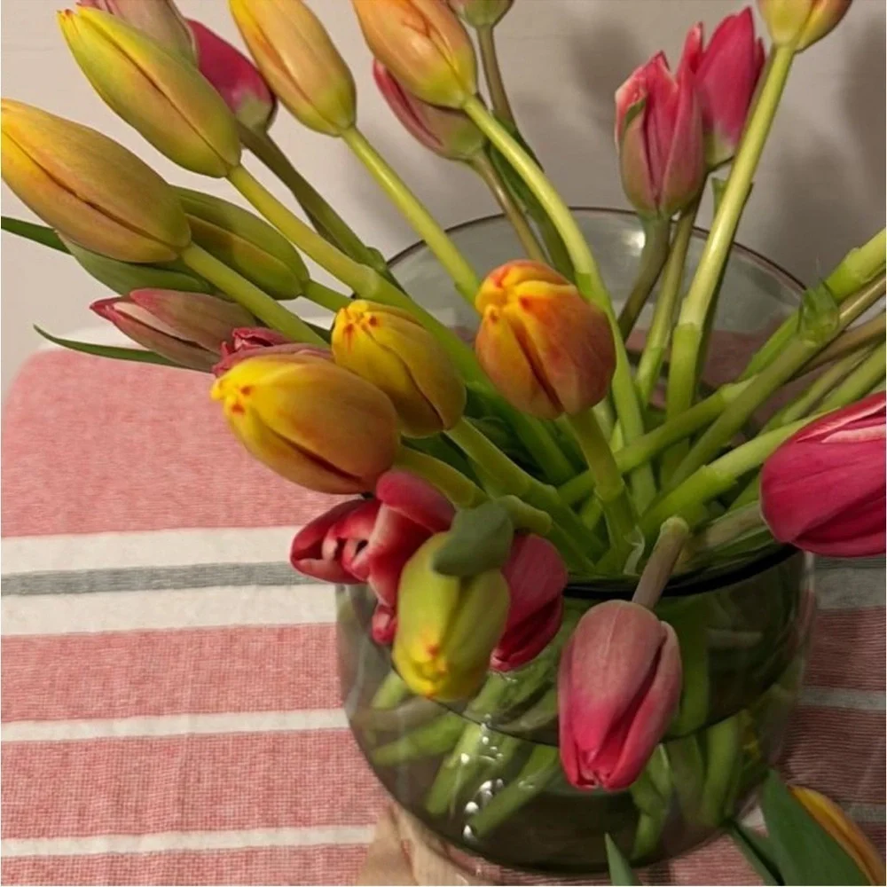 Hearth & Hand Magnolia 5